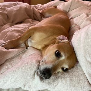 Meet your Posher, Yuan